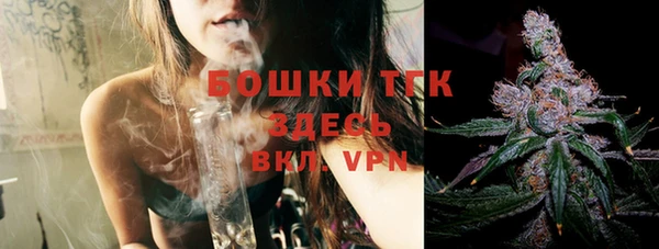 ешки Гусев