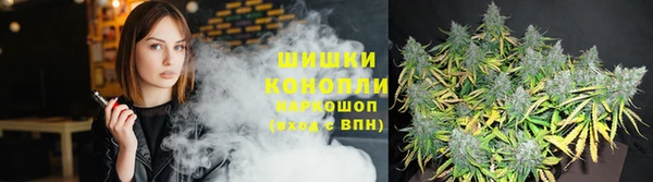 ешки Гусев