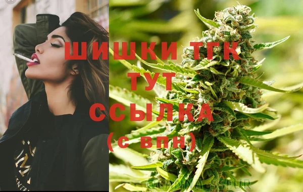 гашик Горняк