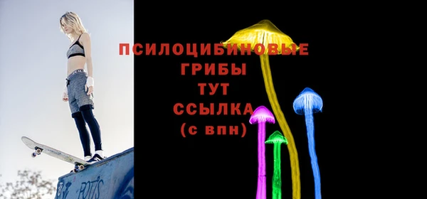 гашик Горняк
