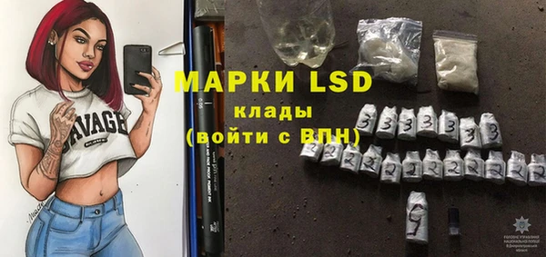 гашик Горняк
