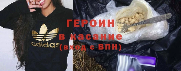 гашик Горняк