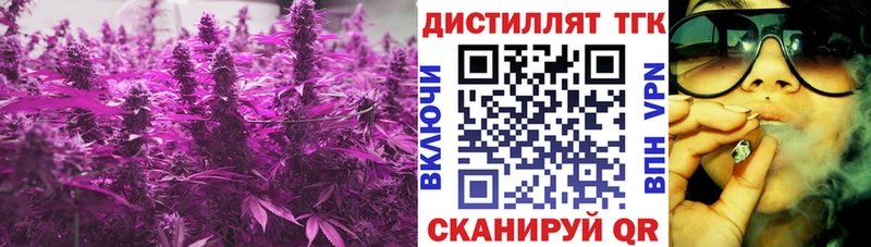 darknet наркотические препараты  Зверево  ТГК гашишное масло 
