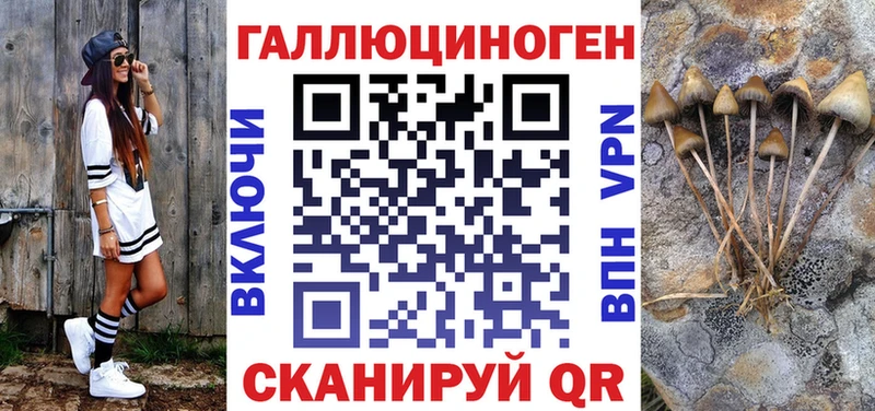 ссылка на мегу зеркало Зверево Галлюциногенные грибы Magic Shrooms сколько стоит